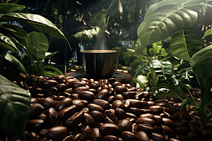 咖啡豆高清植物摄影图