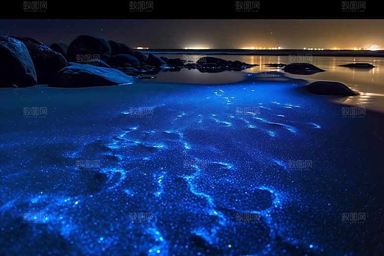 蓝眼泪高清大海摄影图