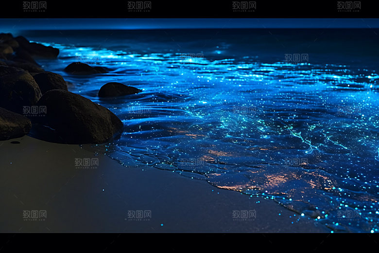 蓝眼泪夜景自然摄影图