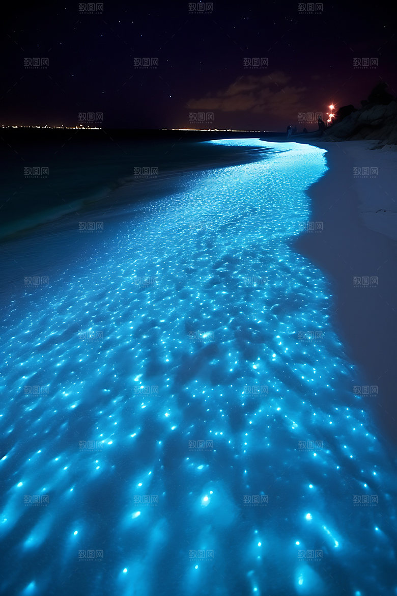蓝眼泪风光夜景摄影图