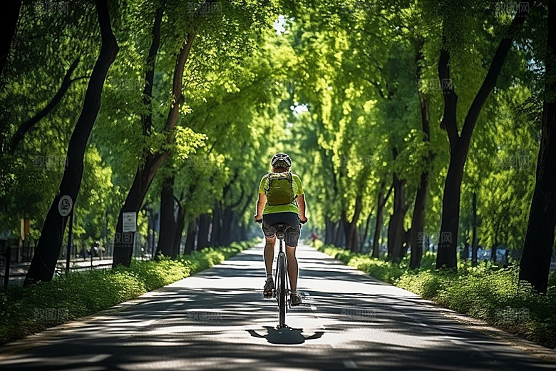 林荫大道道路街巷效果图