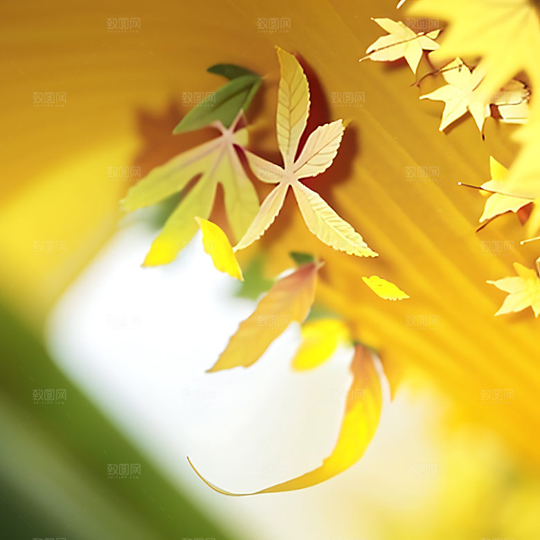 秋分风格化3D艺术字