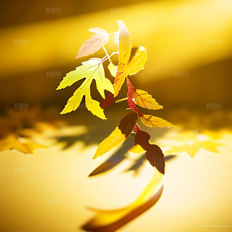 秋分高清3D艺术字