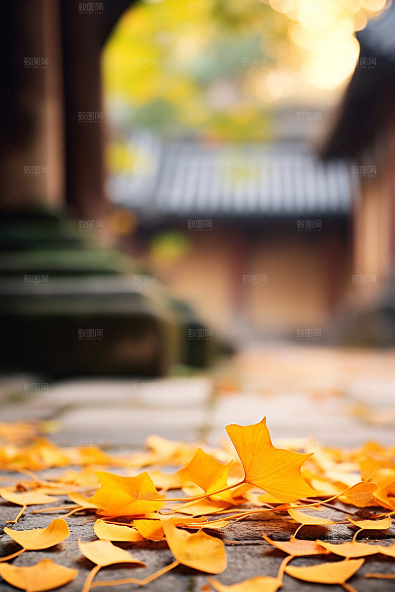 立秋秋景秋色摄影图