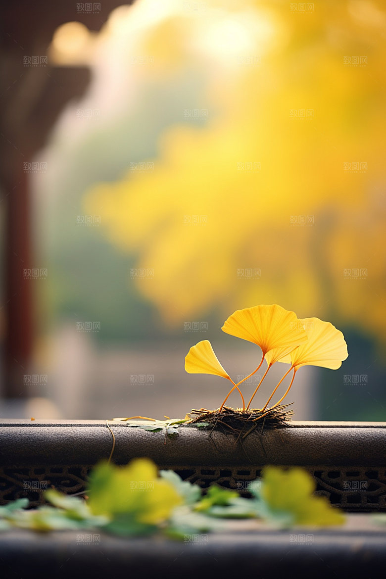 立秋树林金色摄影图