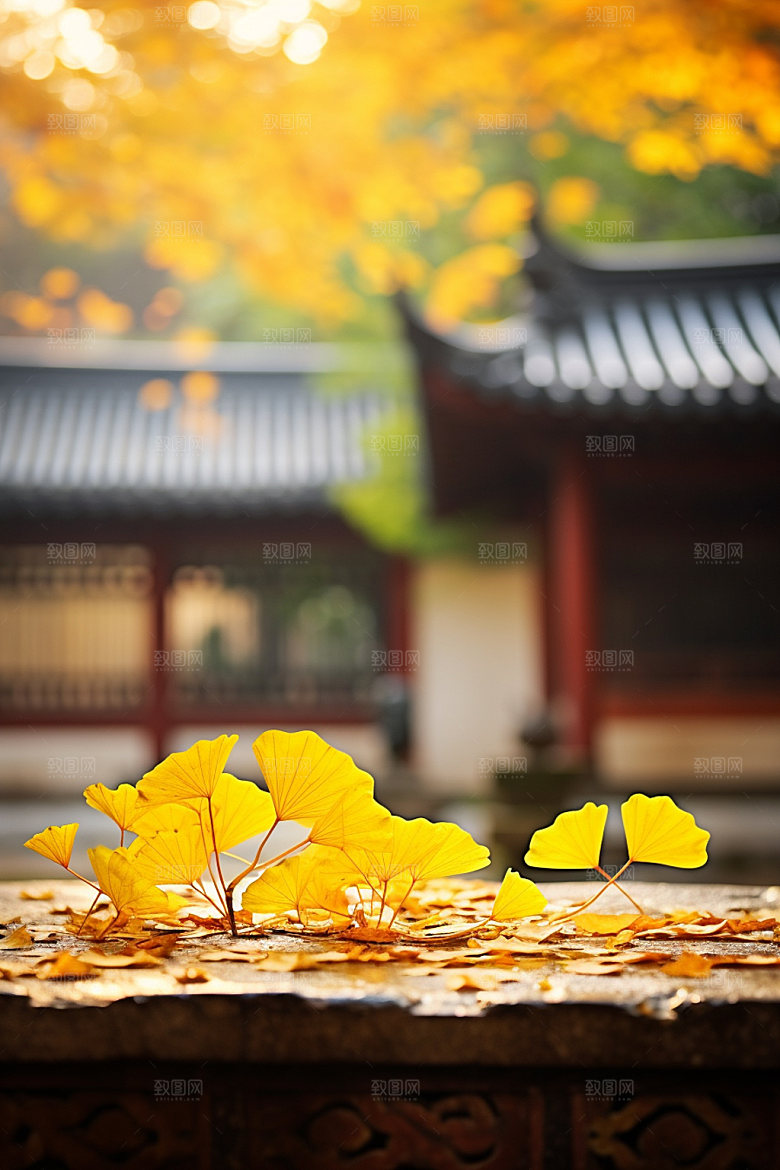 立秋秋叶自然摄影图