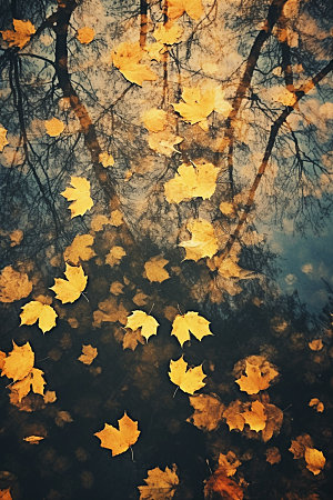 立秋秋天自然摄影图
