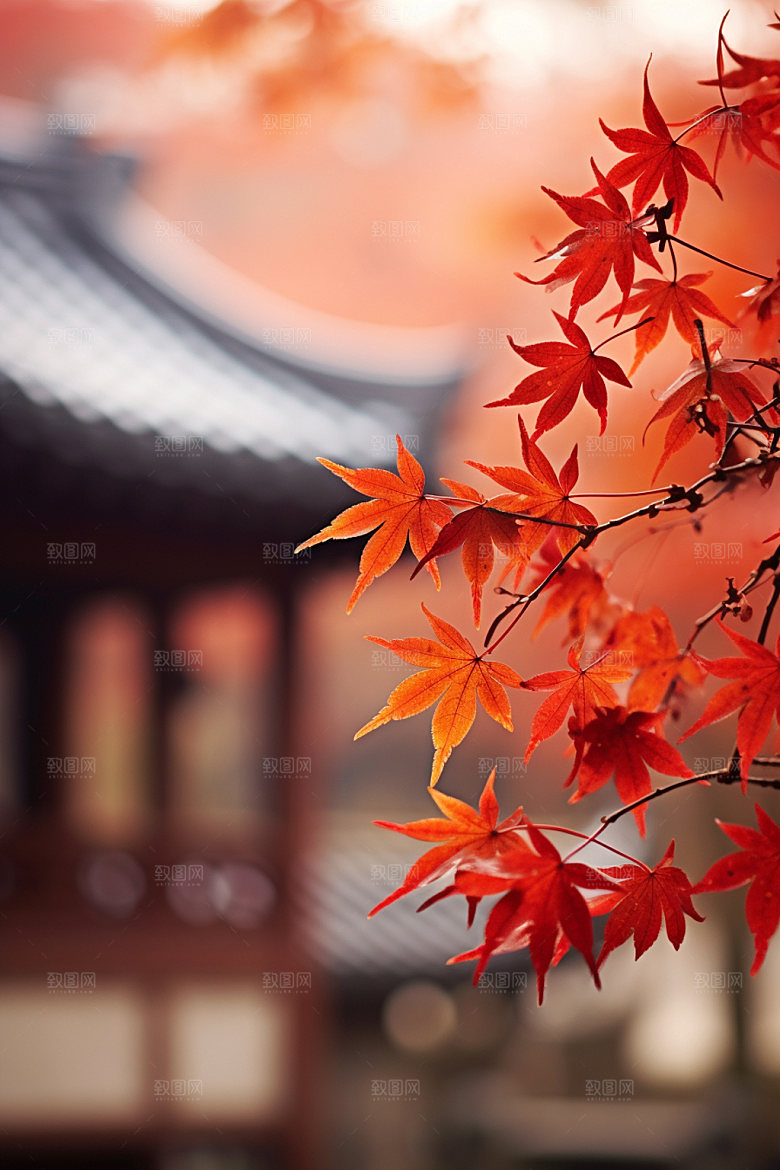 立秋高清秋天摄影图