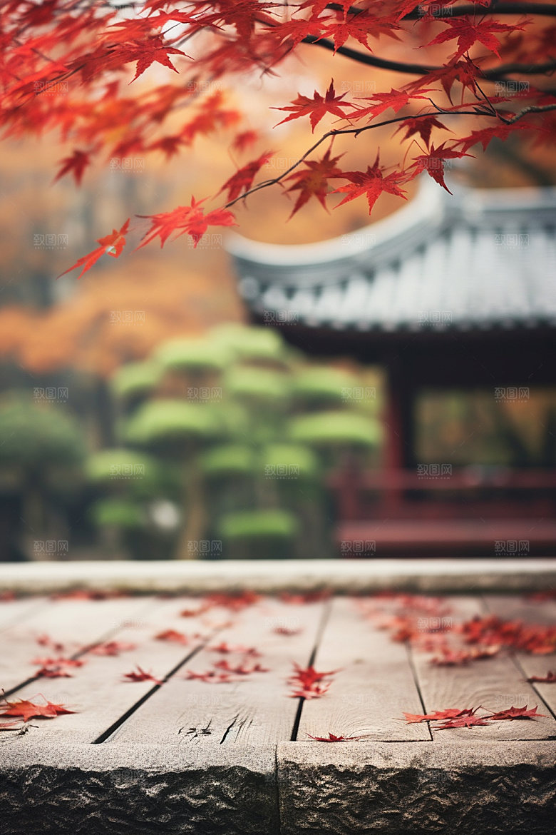 立秋树林秋景摄影图