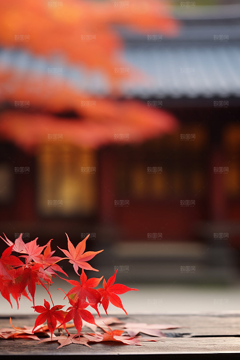 立秋秋色树林摄影图