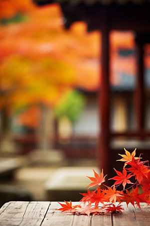 立秋秋天树林摄影图