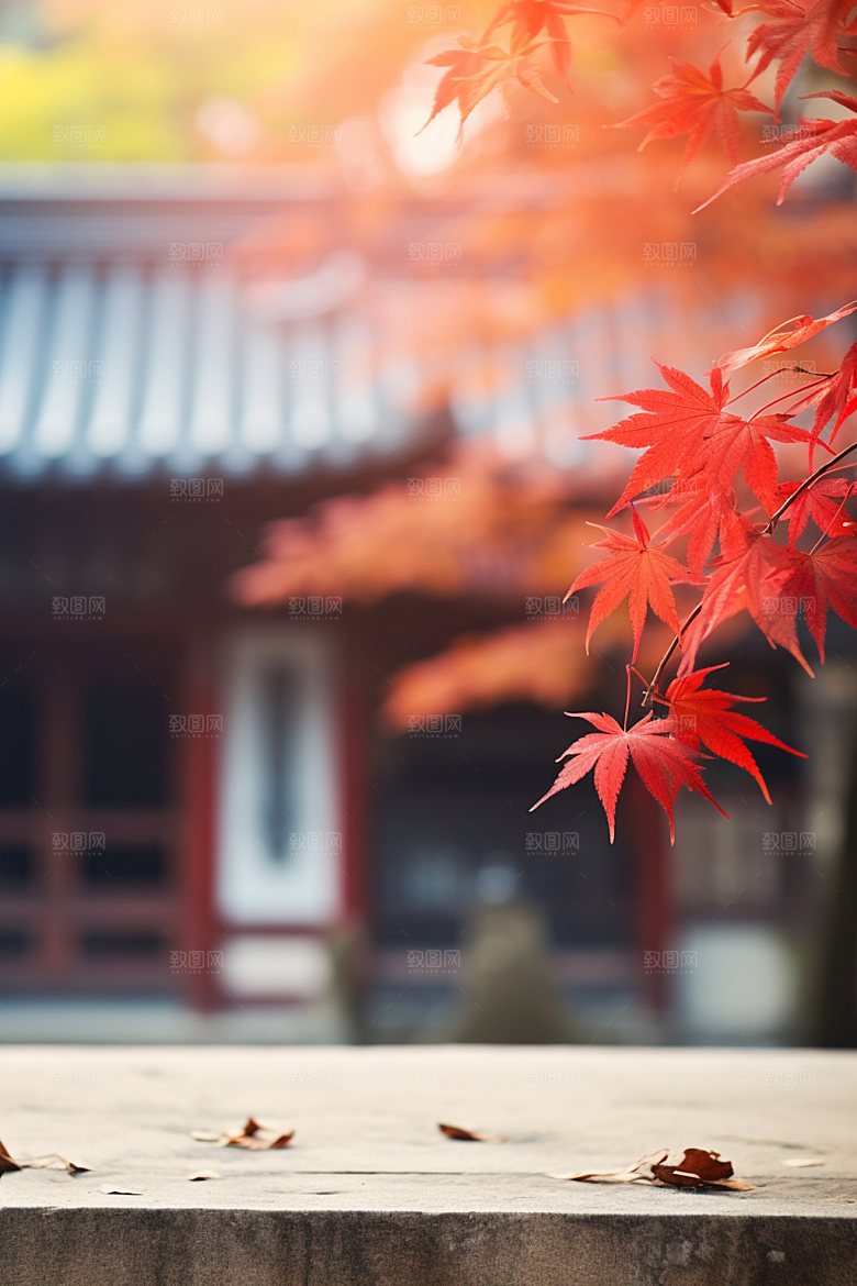 立秋树林金色摄影图
