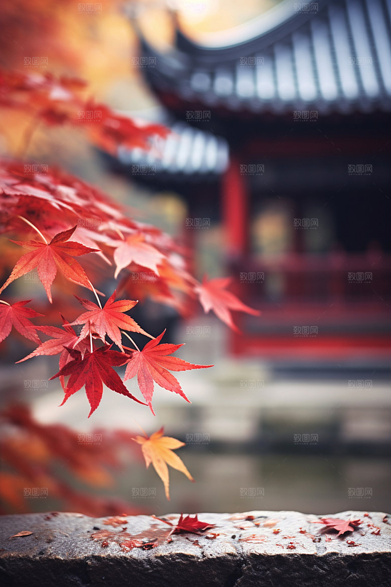 立秋秋景树林摄影图