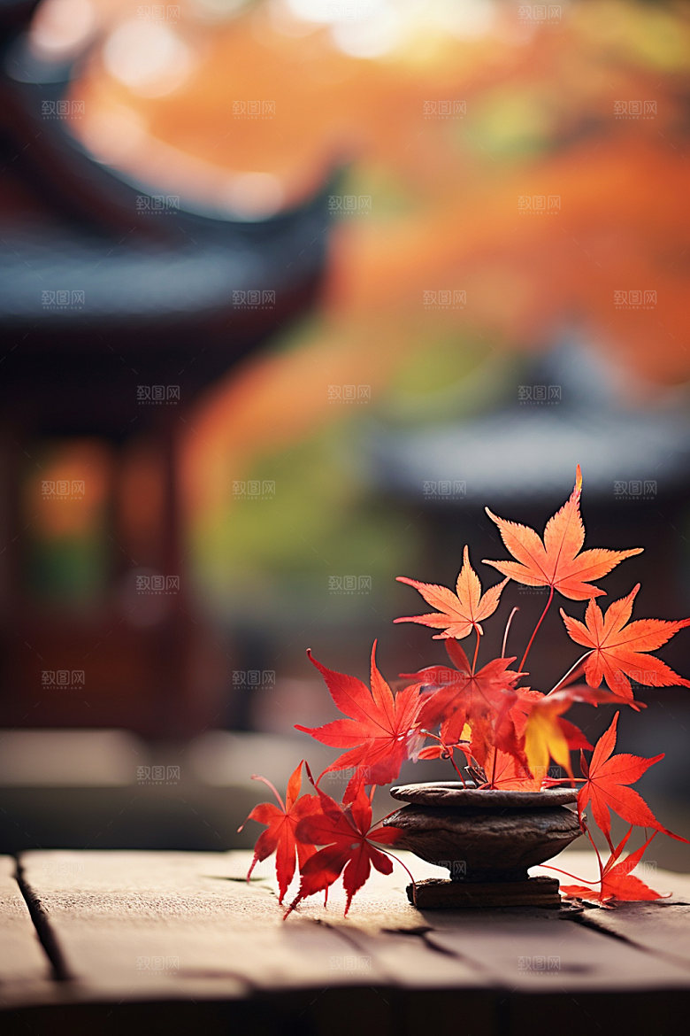 立秋自然秋叶摄影图