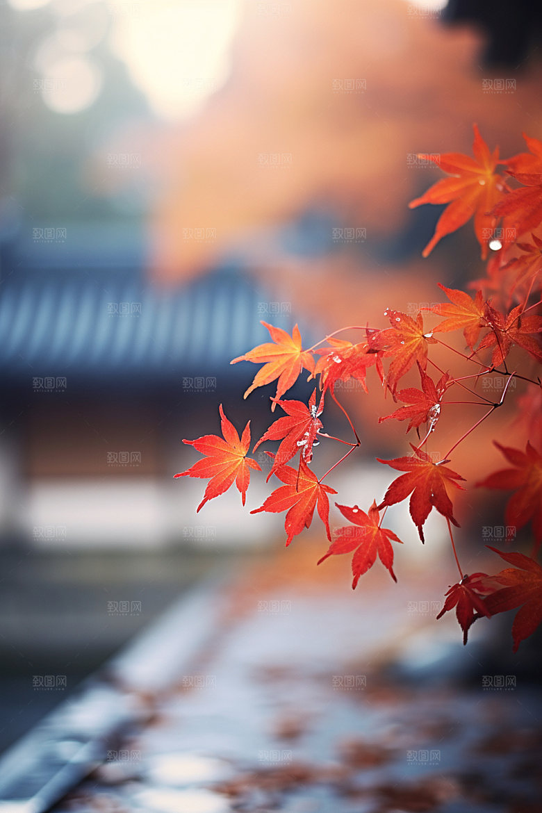 立秋高清秋天摄影图
