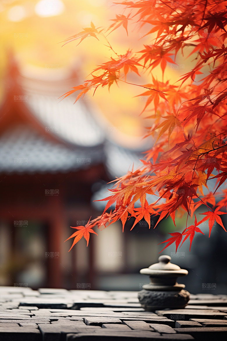 立秋秋景秋色摄影图