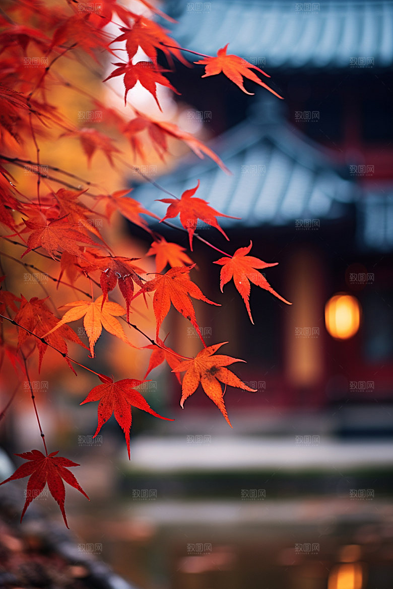 立秋秋景秋天摄影图