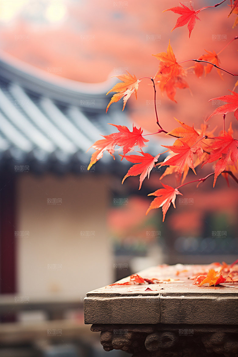 立秋秋景高清摄影图