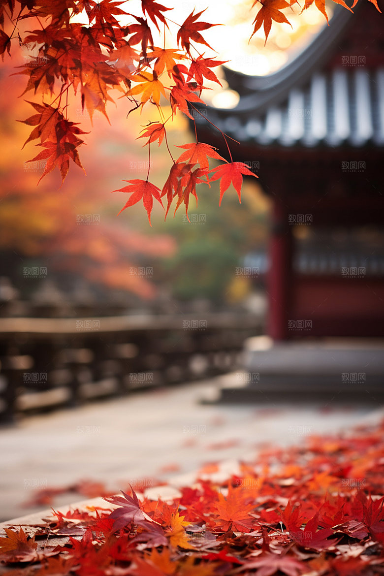 立秋秋天风光摄影图