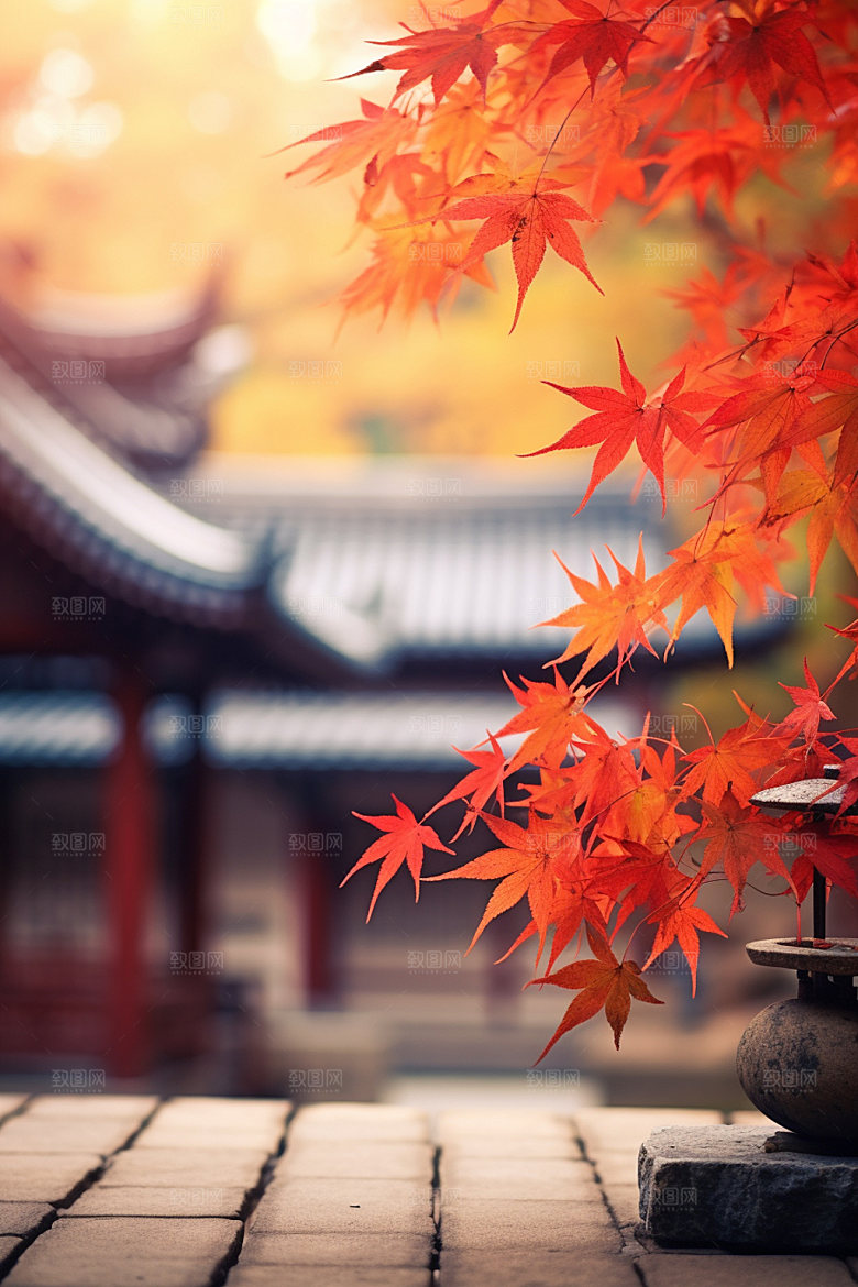 立秋自然秋色摄影图
