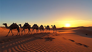 驼队骆驼荒漠摄影图