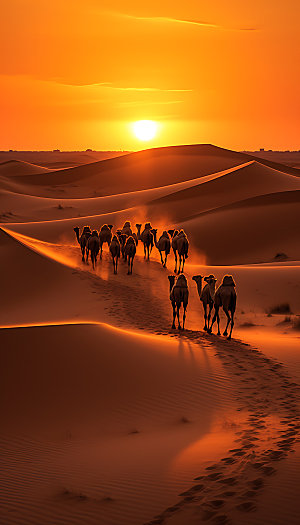 驼队荒漠西北摄影图
