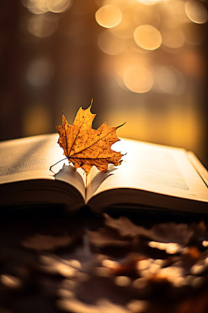 秋天读书温暖户外读书摄影图