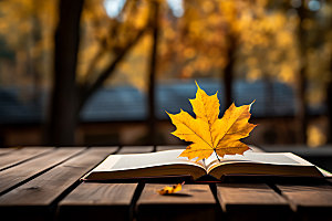 秋天读书林间阅读摄影图