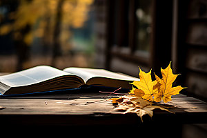 秋天读书高清秋季风光摄影图