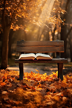 秋天读书阅读温暖摄影图