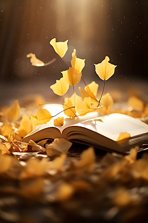 秋天读书秋季风光林间摄影图