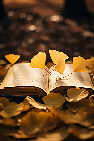 秋天读书温暖温馨摄影图