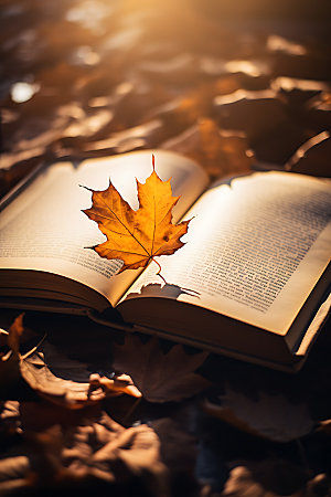 秋天读书高清秋季风光摄影图