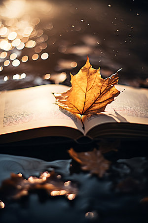 秋天读书林间温暖摄影图