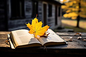 秋天读书户外读书阅读摄影图