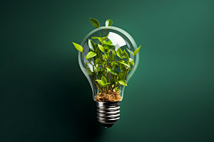 绿色环保可持续环境日摄影图
