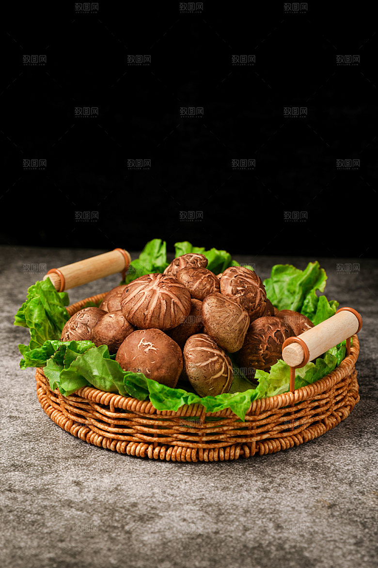 蘑菇高清原材料摄影图