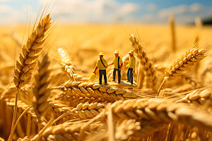 农民丰收小麦收益微缩模型