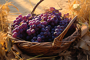 葡萄食品水果摄影图