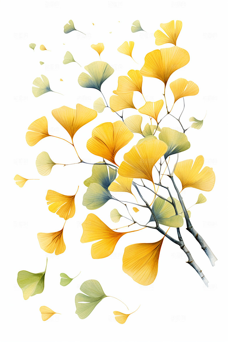 秋分手绘秋天插画