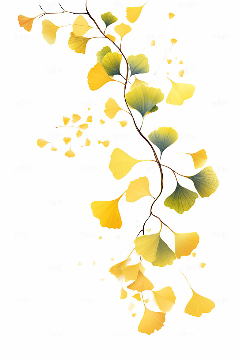 秋分节气秋季插画