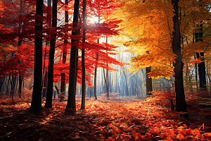 秋分自然秋色摄影图