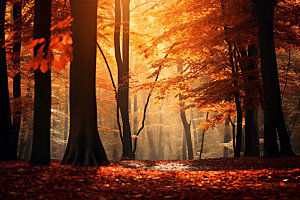 秋分秋季节气摄影图