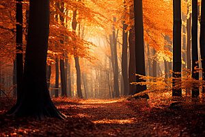 秋分秋景自然摄影图