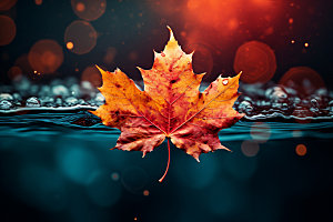 秋分秋色秋季摄影图
