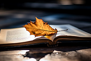 秋天书籍学习氛围摄影图