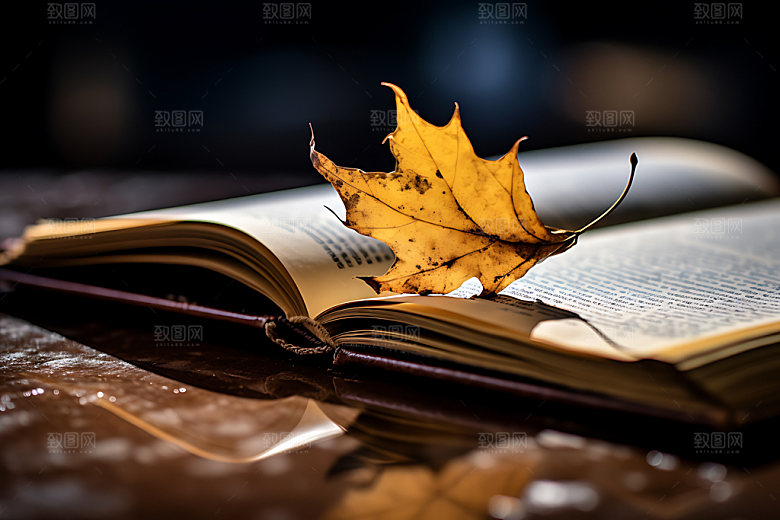 秋天书籍读书学习摄影图
