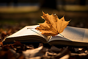 秋天书籍读书自然摄影图