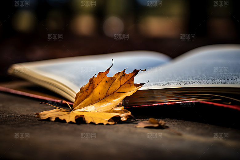 秋天书籍自然读书摄影图