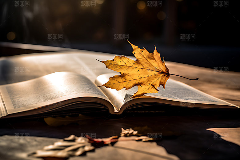 秋天书籍秋色读书摄影图